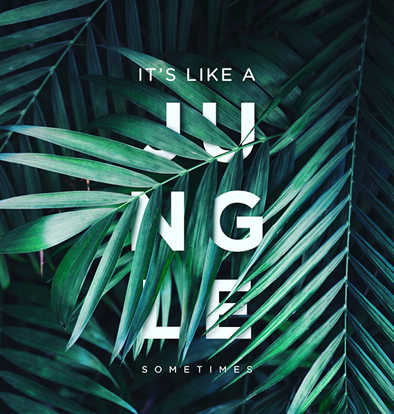 It's Like a Jungle