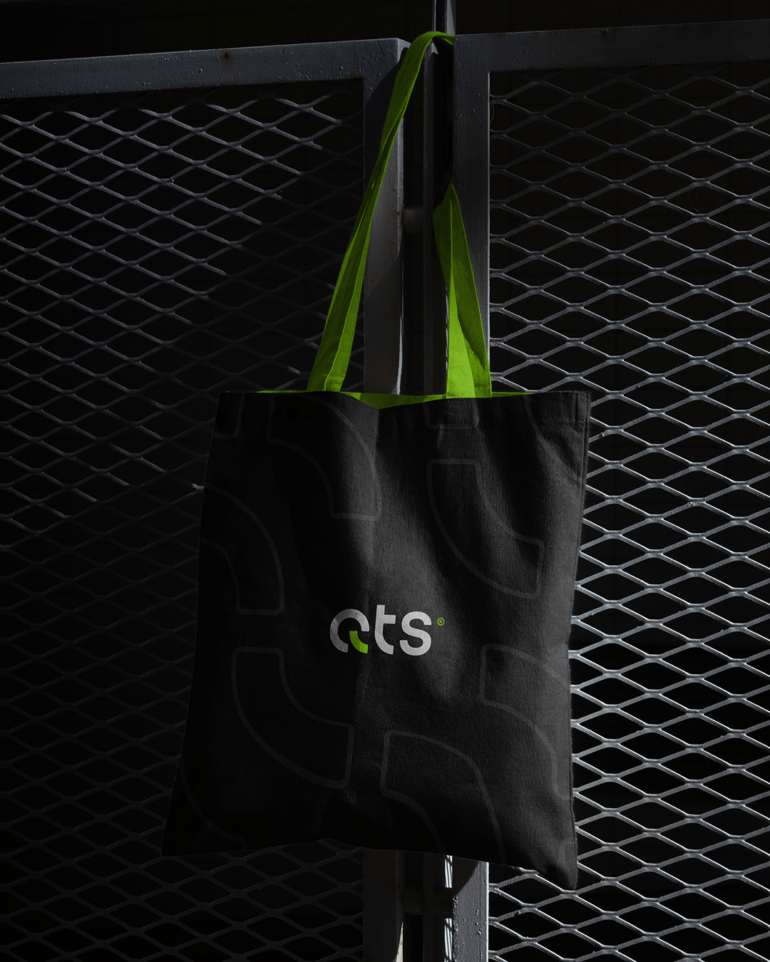 qts-project-bag
